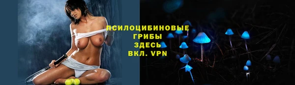 гидропоника Ессентукская