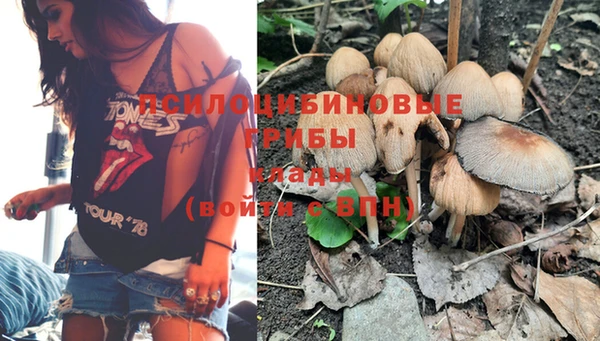 альфа пвп Фёдоровский