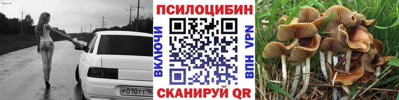 Псилоцибиновые грибы Psilocybe  Пушкино 