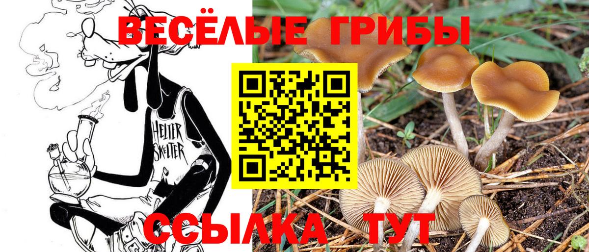 Пушкино  Псилоцибиновые грибы Psilocybe  Вход с VPN  Галлюциногенные грибы Cubensis 