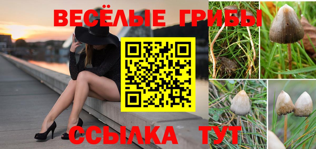 Псилоцибиновые грибы ЛСД Пушкино
