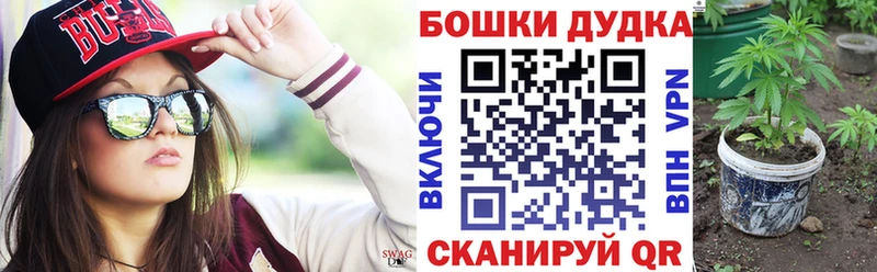 Бошки Шишки семена  kraken tor  Пушкино 